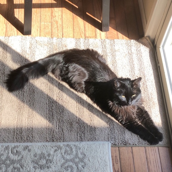 Meet your Posher, Jackie - Picture 8 of 9